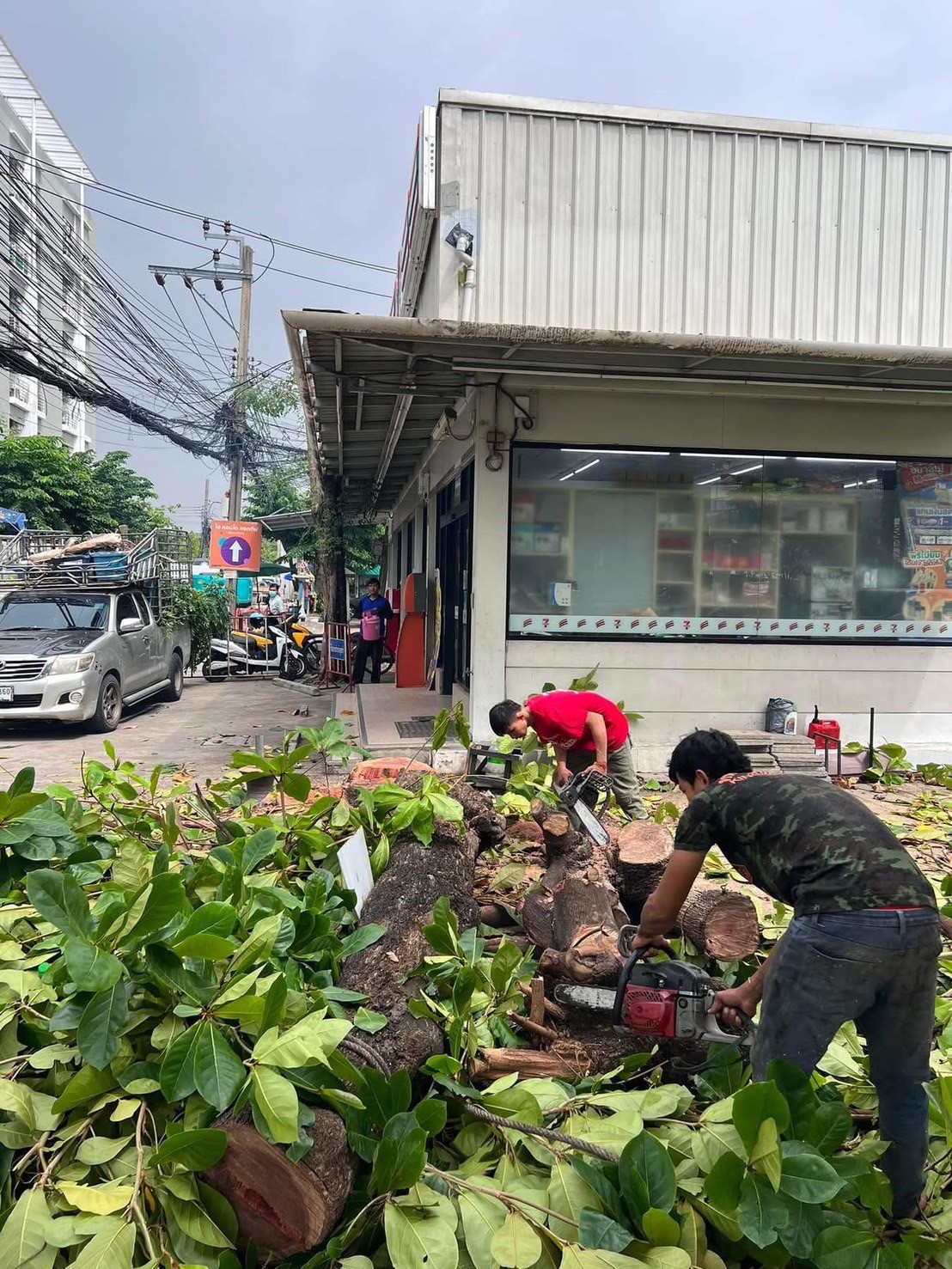 21 - https://รับตัดต้นไม้ตัดหญ้าสสมาน.com | รับตัดต้นไม้ตัดหญ้า ส.สมาน บริการรับตัดต้นไม้กรุงเทพและปริมณฑลครบวงจรโดยทีมงานมืออาชีพ ตัดแต่งกิ่ง โค่นต้นไม้ใหญ่ เคลียร์พื้นที่รกร้าง จัดสวน พร้อมขนทิ้ง ปลอดภัย รวดเร็ว ราคาเป็นกันเอง
