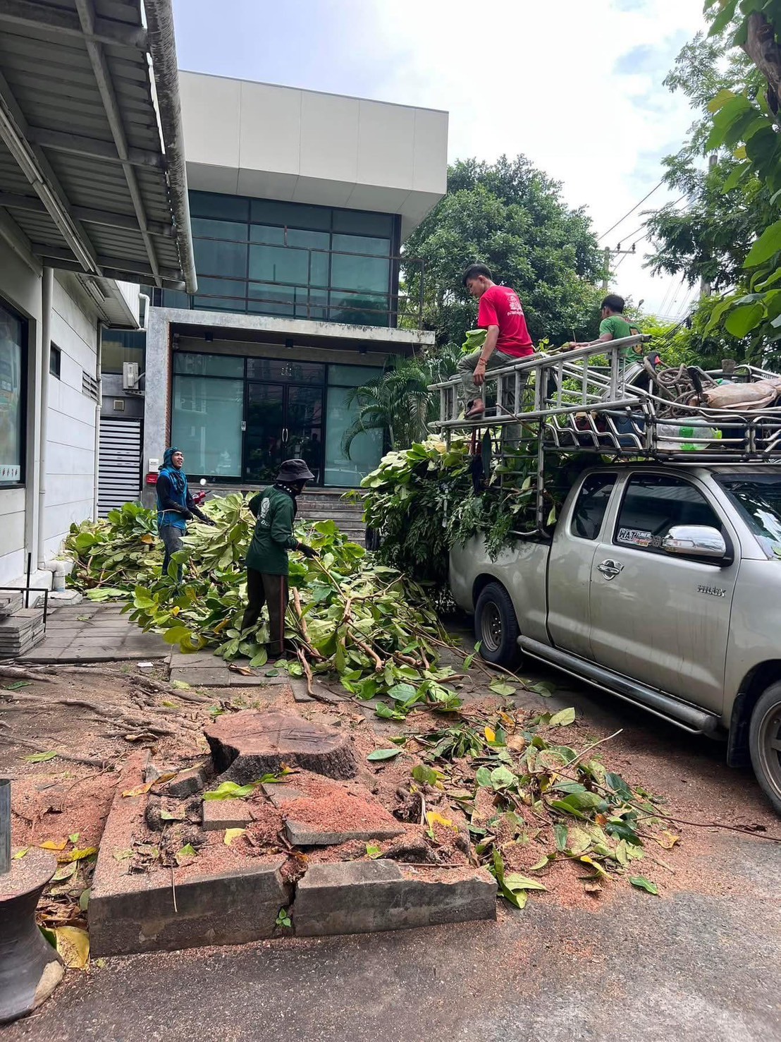 22 - https://รับตัดต้นไม้ตัดหญ้าสสมาน.com | รับตัดต้นไม้ตัดหญ้า ส.สมาน บริการรับตัดต้นไม้กรุงเทพและปริมณฑลครบวงจรโดยทีมงานมืออาชีพ ตัดแต่งกิ่ง โค่นต้นไม้ใหญ่ เคลียร์พื้นที่รกร้าง จัดสวน พร้อมขนทิ้ง ปลอดภัย รวดเร็ว ราคาเป็นกันเอง