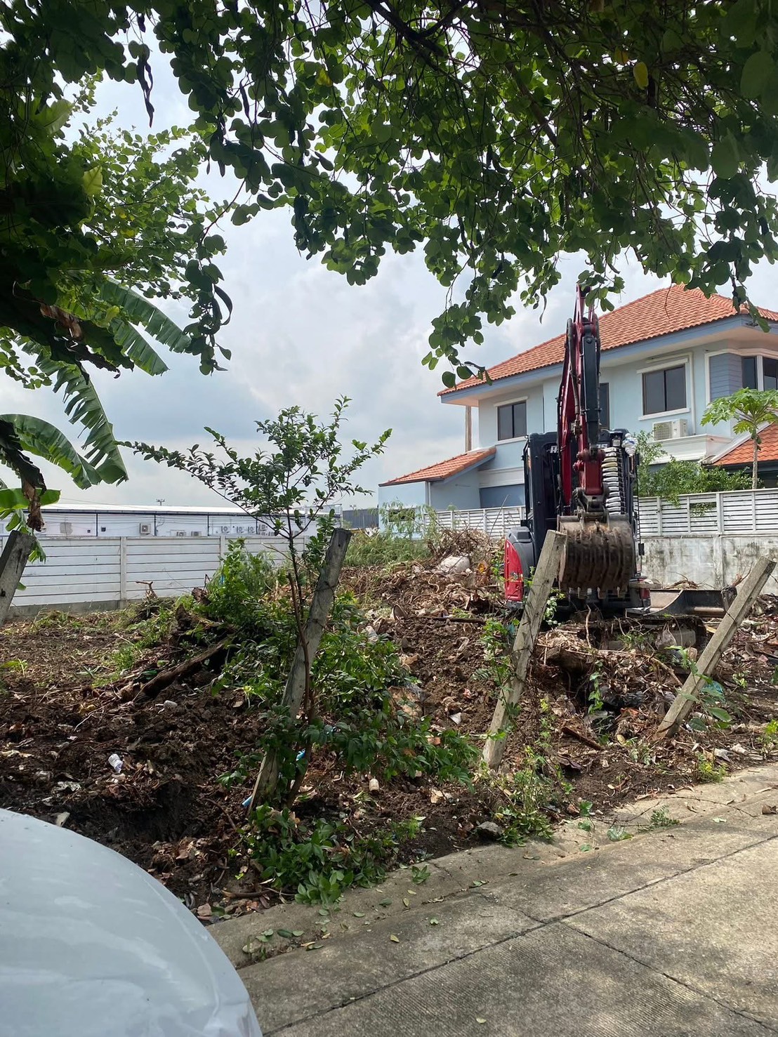 25 - https://รับตัดต้นไม้ตัดหญ้าสสมาน.com | รับตัดต้นไม้ตัดหญ้า ส.สมาน บริการรับตัดต้นไม้กรุงเทพและปริมณฑลครบวงจรโดยทีมงานมืออาชีพ ตัดแต่งกิ่ง โค่นต้นไม้ใหญ่ เคลียร์พื้นที่รกร้าง จัดสวน พร้อมขนทิ้ง ปลอดภัย รวดเร็ว ราคาเป็นกันเอง