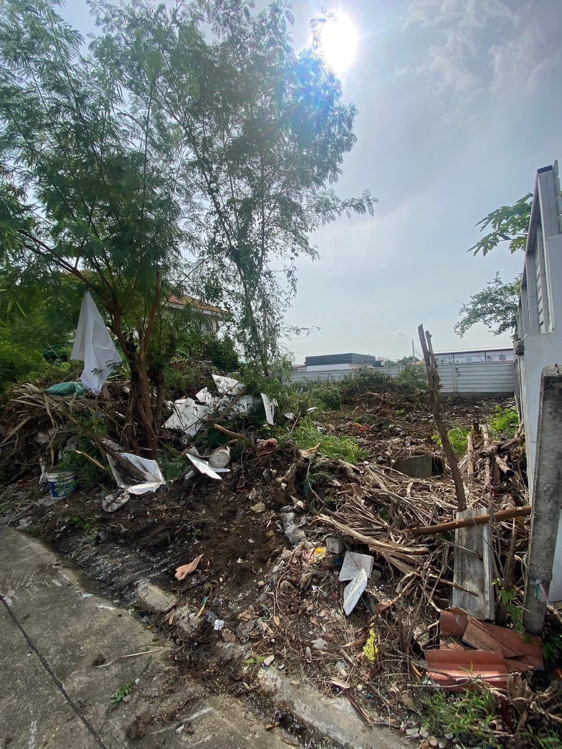 26 - https://รับตัดต้นไม้ตัดหญ้าสสมาน.com | รับตัดต้นไม้ตัดหญ้า ส.สมาน บริการรับตัดต้นไม้กรุงเทพและปริมณฑลครบวงจรโดยทีมงานมืออาชีพ ตัดแต่งกิ่ง โค่นต้นไม้ใหญ่ เคลียร์พื้นที่รกร้าง จัดสวน พร้อมขนทิ้ง ปลอดภัย รวดเร็ว ราคาเป็นกันเอง