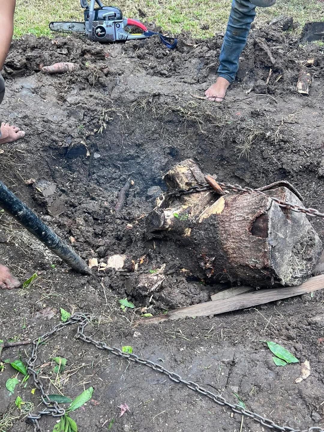 29 - https://รับตัดต้นไม้ตัดหญ้าสสมาน.com | รับตัดต้นไม้ตัดหญ้า ส.สมาน บริการรับตัดต้นไม้กรุงเทพและปริมณฑลครบวงจรโดยทีมงานมืออาชีพ ตัดแต่งกิ่ง โค่นต้นไม้ใหญ่ เคลียร์พื้นที่รกร้าง จัดสวน พร้อมขนทิ้ง ปลอดภัย รวดเร็ว ราคาเป็นกันเอง