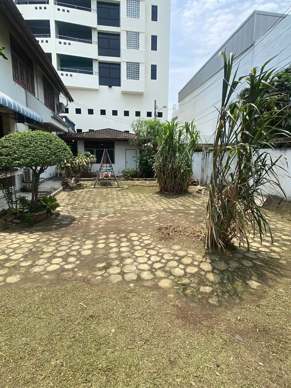 31 - https://รับตัดต้นไม้ตัดหญ้าสสมาน.com | รับตัดต้นไม้ตัดหญ้า ส.สมาน บริการรับตัดต้นไม้กรุงเทพและปริมณฑลครบวงจรโดยทีมงานมืออาชีพ ตัดแต่งกิ่ง โค่นต้นไม้ใหญ่ เคลียร์พื้นที่รกร้าง จัดสวน พร้อมขนทิ้ง ปลอดภัย รวดเร็ว ราคาเป็นกันเอง