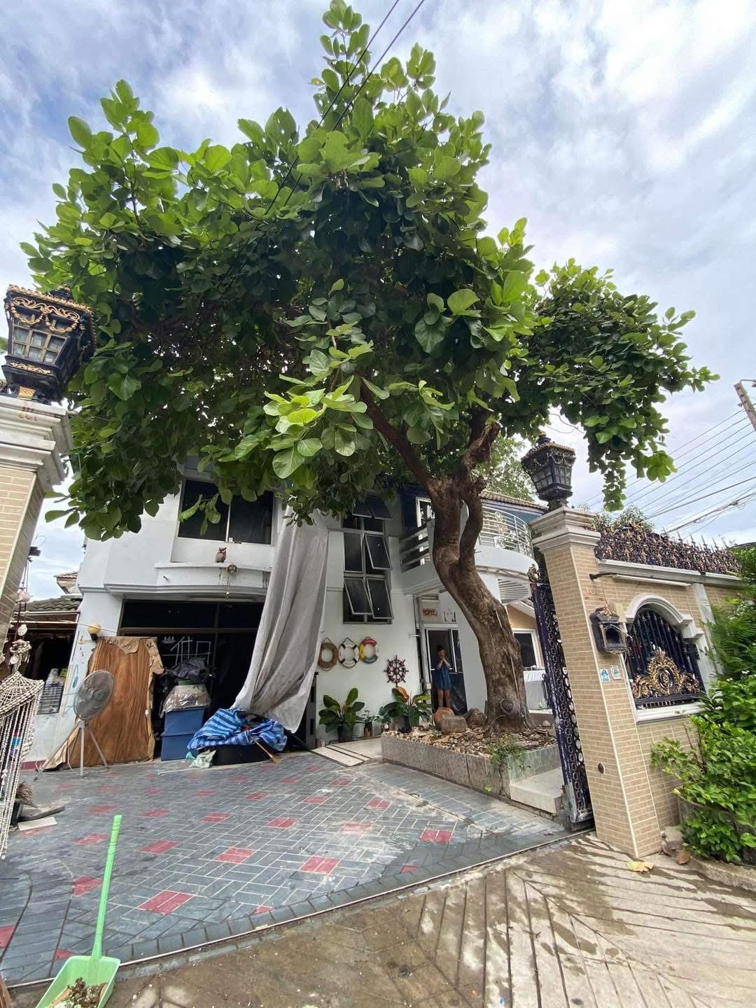 35 - https://รับตัดต้นไม้ตัดหญ้าสสมาน.com | รับตัดต้นไม้ตัดหญ้า ส.สมาน บริการรับตัดต้นไม้กรุงเทพและปริมณฑลครบวงจรโดยทีมงานมืออาชีพ ตัดแต่งกิ่ง โค่นต้นไม้ใหญ่ เคลียร์พื้นที่รกร้าง จัดสวน พร้อมขนทิ้ง ปลอดภัย รวดเร็ว ราคาเป็นกันเอง