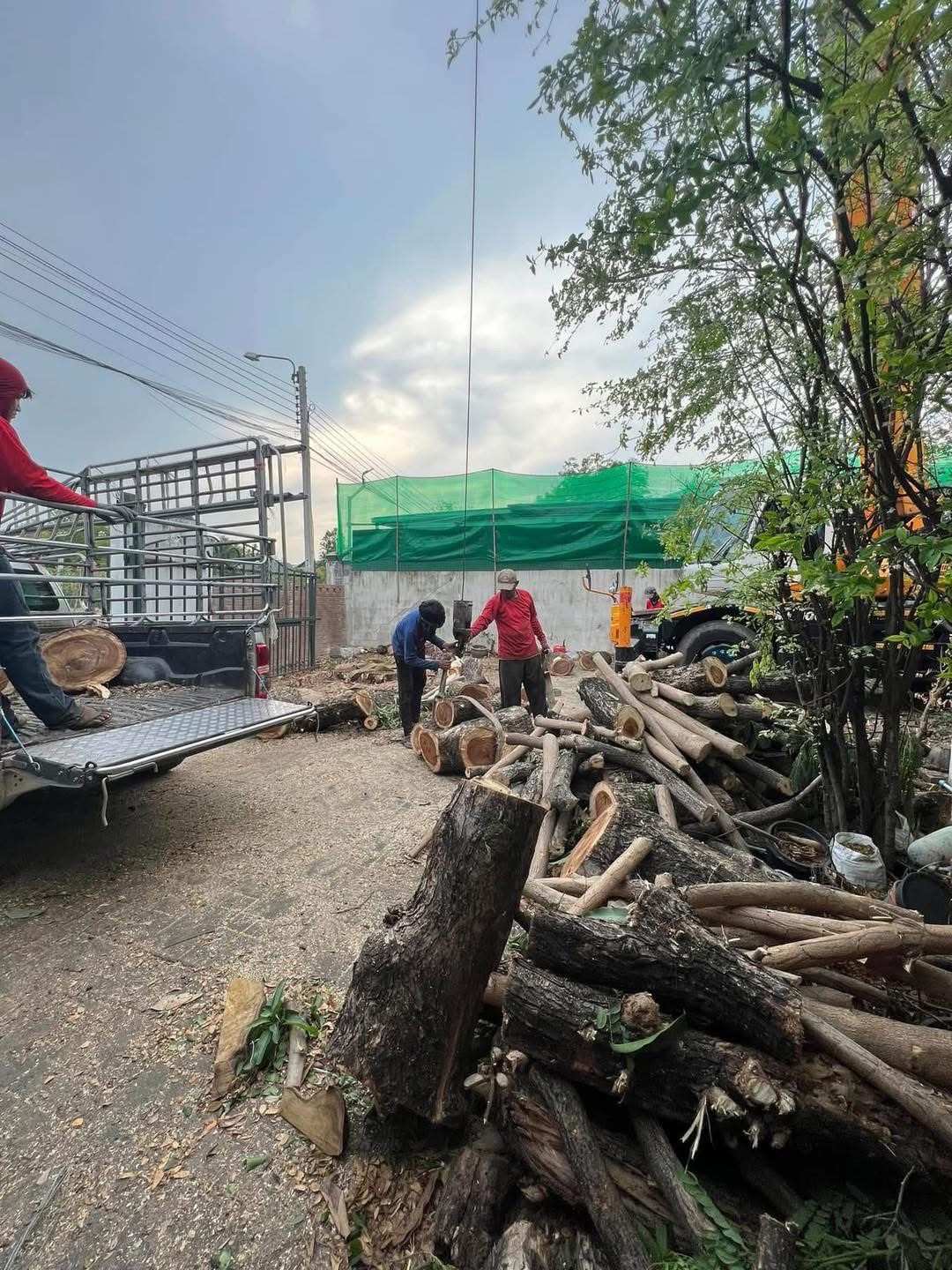 37 - https://รับตัดต้นไม้ตัดหญ้าสสมาน.com | รับตัดต้นไม้ตัดหญ้า ส.สมาน บริการรับตัดต้นไม้กรุงเทพและปริมณฑลครบวงจรโดยทีมงานมืออาชีพ ตัดแต่งกิ่ง โค่นต้นไม้ใหญ่ เคลียร์พื้นที่รกร้าง จัดสวน พร้อมขนทิ้ง ปลอดภัย รวดเร็ว ราคาเป็นกันเอง