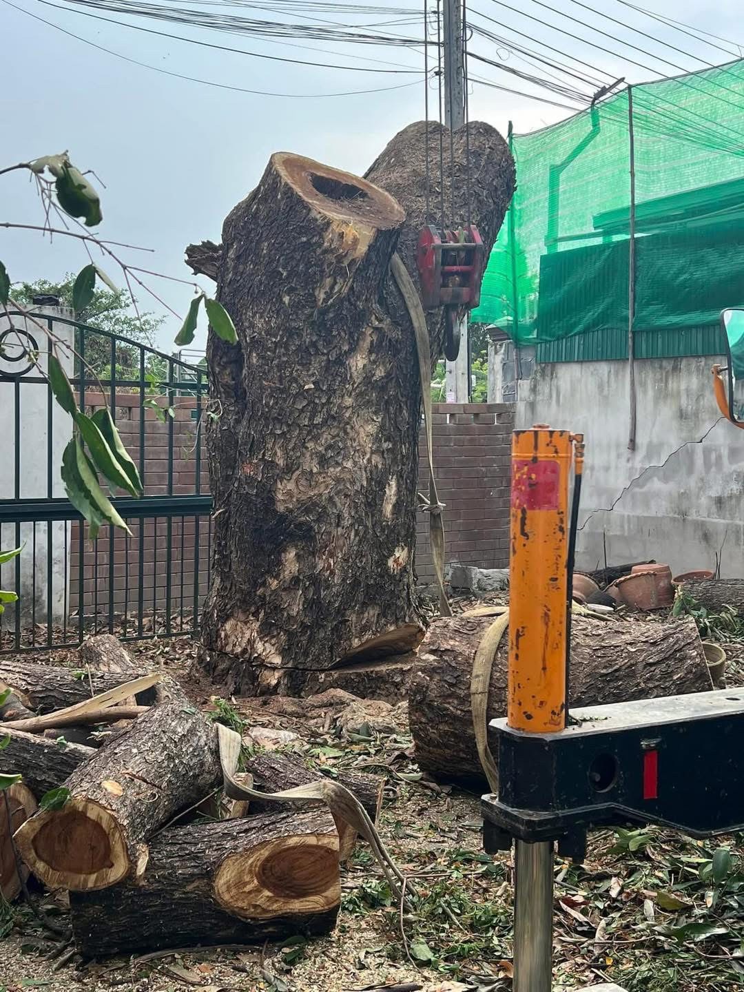 38 - https://รับตัดต้นไม้ตัดหญ้าสสมาน.com | รับตัดต้นไม้ตัดหญ้า ส.สมาน บริการรับตัดต้นไม้กรุงเทพและปริมณฑลครบวงจรโดยทีมงานมืออาชีพ ตัดแต่งกิ่ง โค่นต้นไม้ใหญ่ เคลียร์พื้นที่รกร้าง จัดสวน พร้อมขนทิ้ง ปลอดภัย รวดเร็ว ราคาเป็นกันเอง