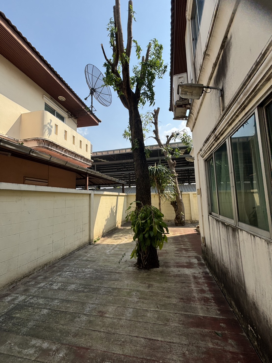 61 - https://รับตัดต้นไม้ตัดหญ้าสสมาน.com | รับตัดต้นไม้ตัดหญ้า ส.สมาน บริการรับตัดต้นไม้กรุงเทพและปริมณฑลครบวงจรโดยทีมงานมืออาชีพ ตัดแต่งกิ่ง โค่นต้นไม้ใหญ่ เคลียร์พื้นที่รกร้าง จัดสวน พร้อมขนทิ้ง ปลอดภัย รวดเร็ว ราคาเป็นกันเอง