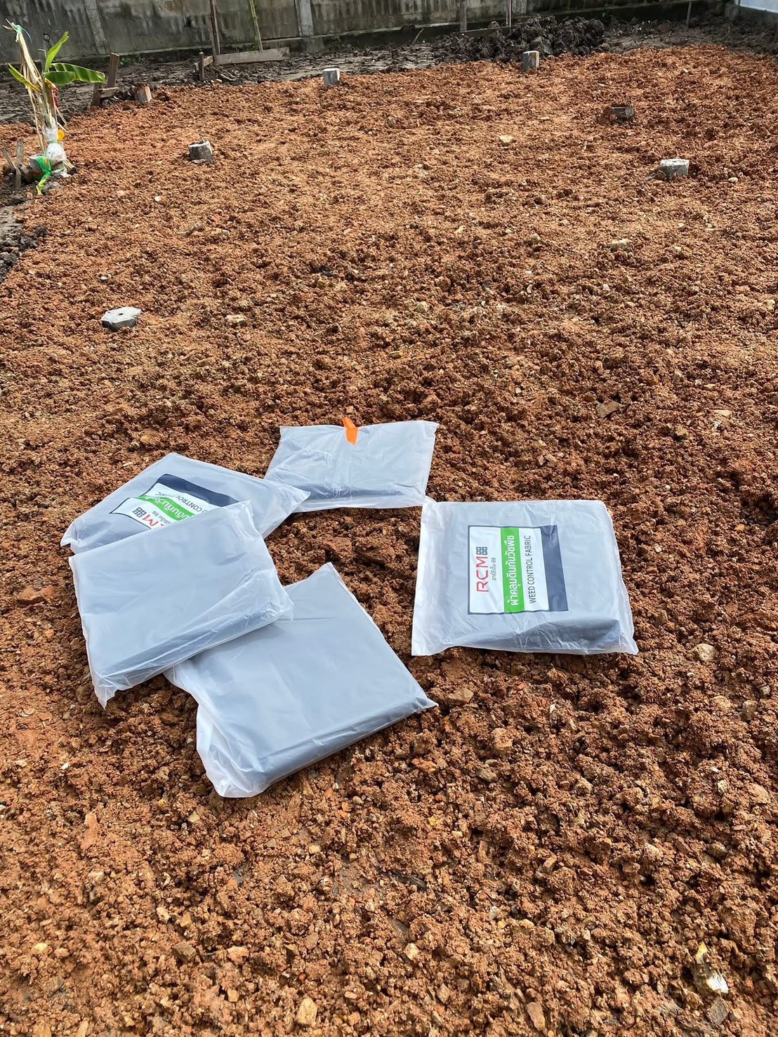 8 - https://รับตัดต้นไม้ตัดหญ้าสสมาน.com | รับตัดต้นไม้ตัดหญ้า ส.สมาน บริการรับตัดต้นไม้กรุงเทพและปริมณฑลครบวงจรโดยทีมงานมืออาชีพ ตัดแต่งกิ่ง โค่นต้นไม้ใหญ่ เคลียร์พื้นที่รกร้าง จัดสวน พร้อมขนทิ้ง ปลอดภัย รวดเร็ว ราคาเป็นกันเอง